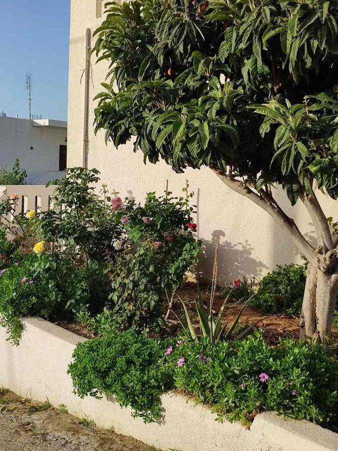 Kassandra Garden Residence Istron Exterior foto